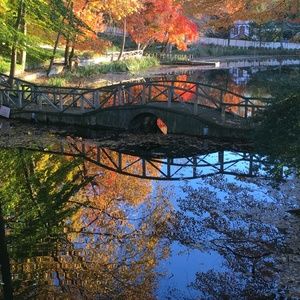 Meet your Posher, Adam